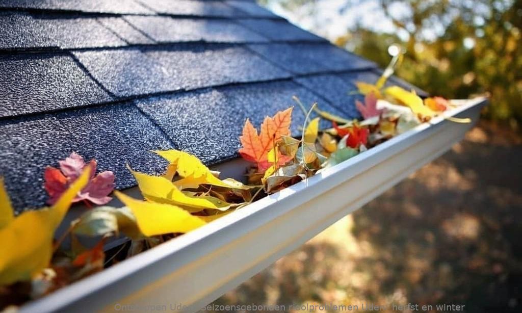Seizoensgebonden rioolproblemen Uden: herfst en winter